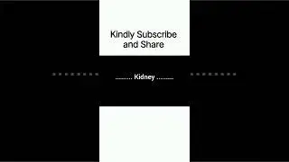 kidney MCQs/Test your knowledge.#kidney #kidneydisease #mcqs #science #kidneyfailure #biology