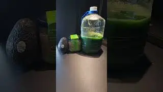 Stop driving fatigue! KETO!😀