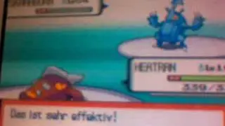 Pokemon Perl Top Vier Herbaro