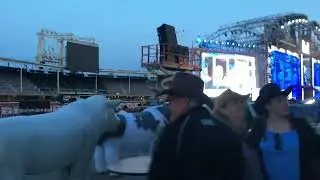 INTERMISSION MAGIC | GRANDSTAND SHOW 2019 &bull; GIANT INFLATABLE COWS &bull; LIVE COUNTRY SWING