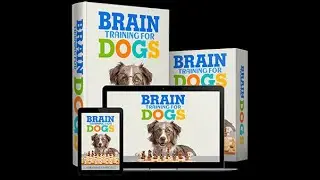 Boost Your Dog's Intelligence with Expert-Approved Brain Training Techniques