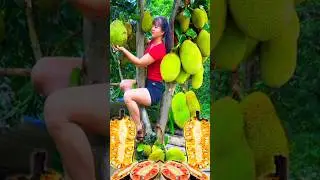 a new method of how to plant and reproduce jackfruit trees from fruit.#growingfruits #garden