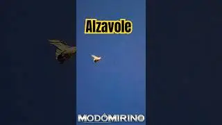 Doppietta ad Alzavole di Francesco.#duckhunting