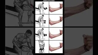 4 Exercises to Hit Every Muscle Fiber in Your Biceps 💪#fitness #gym #workout#muscle#training#shorts