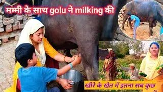 आज गोलू ने मम्मी के साथ भैंस का दूध निकाला #baffelofastmilking #golukimasti🐃😂
