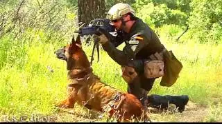 Ejército Español ~ MÁS QUE  SOLDADOS