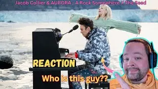 Jacob Collier & AURORA - A Rock Somewhere X The Seed (Greenpeace) Reaction