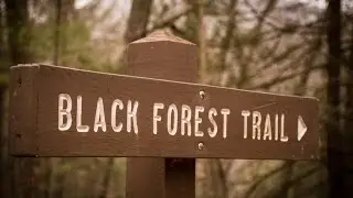 Winter Backpacking---Black Forest Trail North, PA
