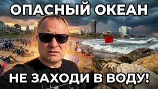 Океан не прощает ошибок 🌊 Купание в Мар-дель-Плата без иллюзий #океан #Аргентина #путешествия