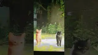 Stray игра про котика