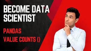 Python Pandas Value Counts function - Check distribution by distinct column values