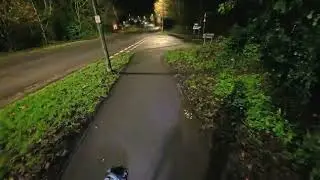 Walkies with Merlin - 16/12/25 - Evening Dog Walk