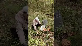 VID 20230926 111612