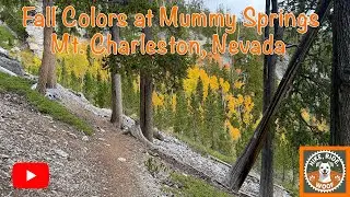Fall Colors Mummy Springs Hike, Mt. Charleston, Nevada
