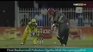shama ashna cricket song