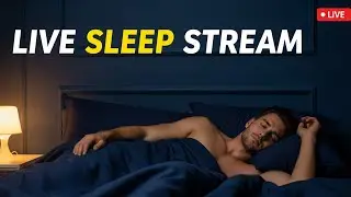 Sleep Stream LIVE: Holiday Rain on Cozy Cabin Window &ndash; Instant Deep Sleep ASMR ❄️😴