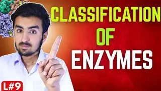Classification of enzymes|Six types of enzymes