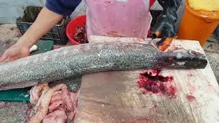 3 Fit Barracuda Fish Cutting Slice by Slice। Smart Arabian Way of Cutting Fish। Fish Cutting Master