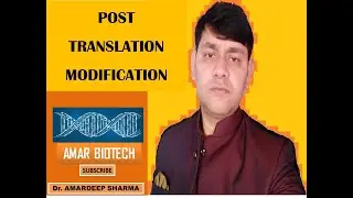 Post Translation Modification/Modifications after protein synthesis
