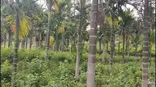 Kottathurai | Riverside land for sales | 3 acres | Most liked place