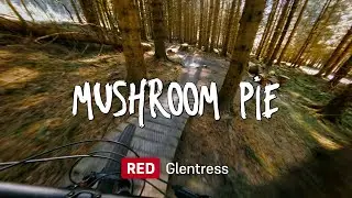 Mushroom Pie - Red Trail - Glentress, Peebles, Scotland