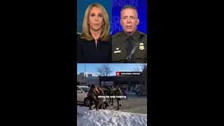 Bash presses Bovino on Alex Pretti killing: 'What evidence do you have?'