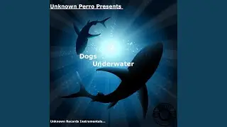 Dogs Underwater... (Instrumentals)