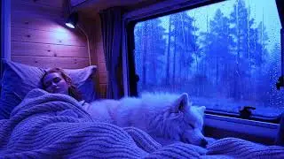 Thunderstorm Sounds for Sleep with Heavy Rain on Window | Night Ambience