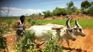#உழவு