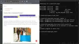 Git Basics || The Odin Project