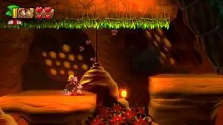 Donkey Kong Country: Tropical Freeze - Beehive Brawl (5-A) 100% Walk Through