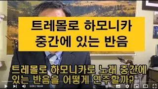 [ 하모니카 기초 ] 트레몰로 하모니카로 노래 중간에 있는 반음을 어떻게 연주 할까? / 꼭 보셔야 할 영상