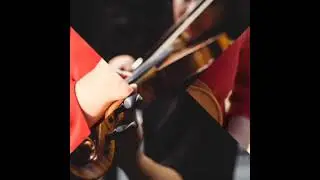 потрясающая игра на скрипке, beautiful violin playing