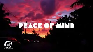 Dancehall Trap reggae fusion Type Beat &ldquo;Peace of Mind &rdquo; 2026