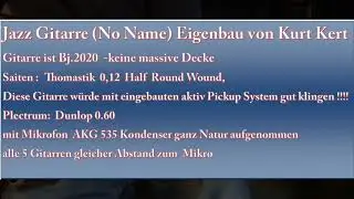 Oberkrainer Gitarren Test