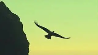 Boots On The Trail, Song by Skye & River