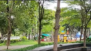 assalamu'alaikum wrwb,,, nyantai di waduk pluit