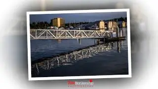 Tom Blankenship's photographs at Percival Landing in downtown Olympia