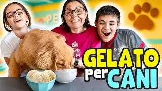 2 RICETTE DI GELATO PER CANI da Fare in Casa: Summer Assaggia