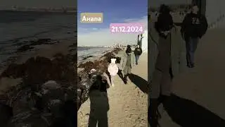 Центральный пляж Анапы и море 21 декабря 2024