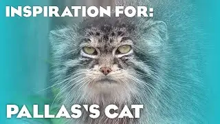 6 Real Pallas's Cat Habitats! (Planet Zoo: Zookeepers Animal Pack Inspiration)