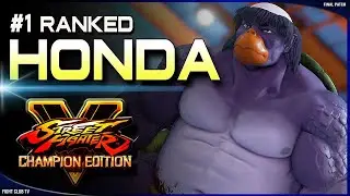Aczei (E.Honda) ➤ Street Fighter V Champion Edition &bull; SFV CE