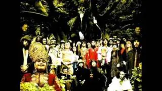 Devendra Banhart: White Reggae Troll / Africa