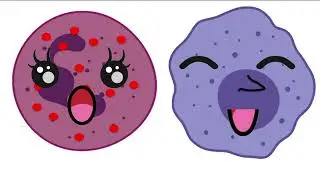 Your questions about viruses, COVID-19 and your immune system