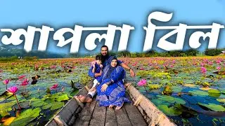 শাপলার স্বর্গরাজ্য বরিশালের সাতলা বিল!!