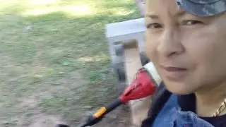 Tiny little goats jumping around 