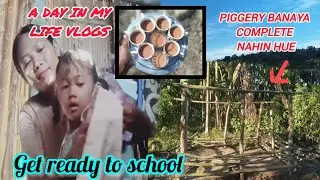 Village Girl Life Vlogs |Piggery Banaye Complete Nahin Hue |Umkiang Vlogs 