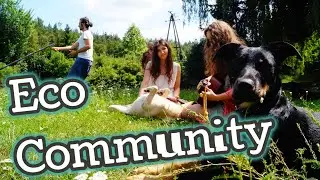 Volunteer abroad with animals | Join our project