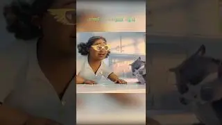 സ്വർഗത്തിലെത്തിയ പൂച്ച | 10 Lives | animation movie malayalam explanation
