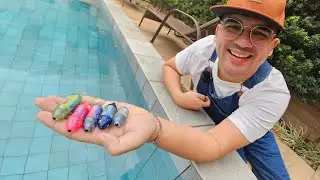 COLOQUEI VÁRIAS BARATAS AQUÁTICAS ROBÔS NA PISCINA!